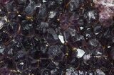 Deep Purple Amethyst Cluster - Alacam Mine, Turkey #55360-1